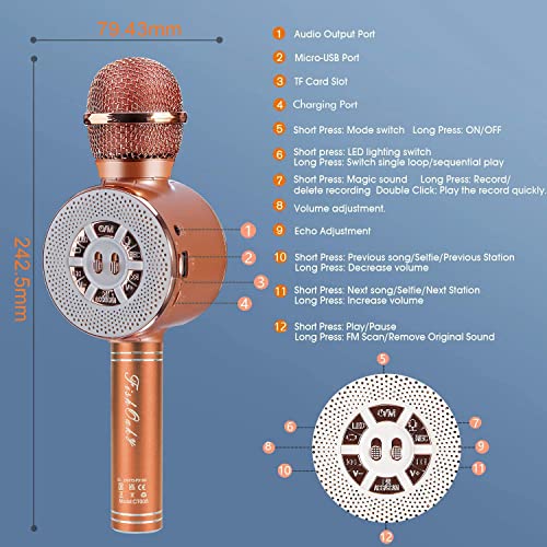 Fishoaky Karaoke Microphone, Kids Karaoke Machine Portable Mic Player Speaker With Led For Christmas Birthday Home Party Ktv Outdoor #TOP2