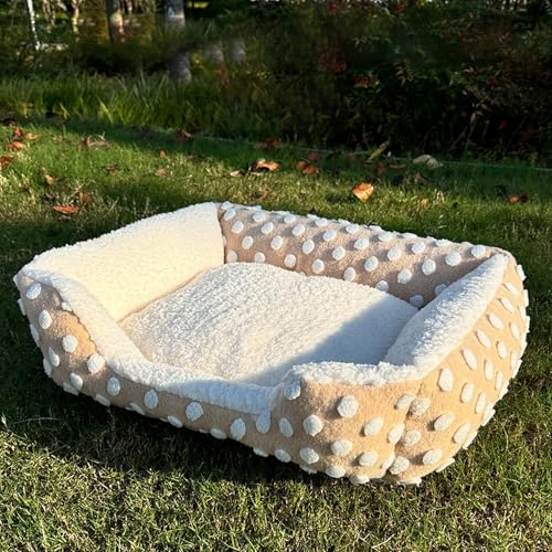 [ADSNS]  xbh ybgxbh L ~ }bg 􂦂  􂦂   v t  H J[1 ~ L ~p NbV L  킢 60*50 􂦂   XNGA xbh ӂӂ I[V[Y