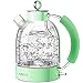 Bollitore Acqua Elettrico, ASCOT Bollitore Elettrico in Vetro, 2200W, 1.6L, Spegnimento Automatico, Protezione Boil-dry, Niente Plastica BPA-Free Teiera (Verde)