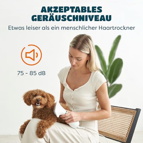 KUUBIA Hundeföhn | 2-in-1 Haartrockner mit Bürste | Hundefön für kleine und mittelgroße Hunde & Katzen | 300W Blower, tragbar, relativ leise, einstellbare Temperatur, Edelstahl-Zupfbürste