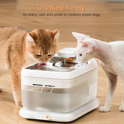 Fuente de agua inalámbrica para gatos de acero inoxidable miniatura 2