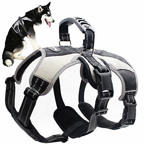 escape preventing dog harness