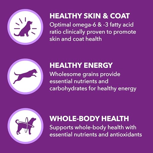 IAMS-Advanced-Health-Skin-Coat-Chicken-and-Salmon-Recipe-Adult-Dry-Dog-Food-36-lb-Bag-Brown IAMS Advanced Health Skin Coat Chicken and Salmon Recipe Adult Dry Dog Food 36 lb Bag Brown