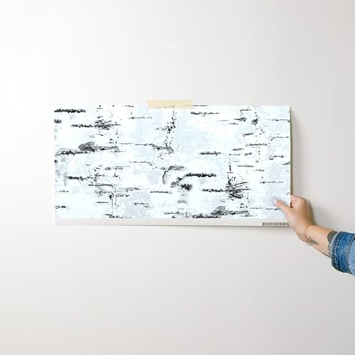 Miniatura 7 de Muestro de papel tapiz extraíble, corteza de abedul del bosque, árbol blanco, bosque neutro, aspecto texturizado sintético, papel tapiz prepegado
