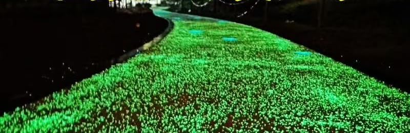4000 Pietre Luminose Da Giardino Fluorescenti Per Vasi Decorazioni Balcone, Aquascape e Esterno, Sassolini Decorativi Luminosi per Percorsi e Aiuole (verde)