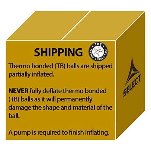 Select Magico Futsal Ball, Senior(Size 4), Yellow V22 #TOP4