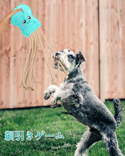 SCHITEC Dog Rope Toys, Plush Crinkle Tug of War Toy for Small Medium Large Dogs, Interactive Octopus Stuffed Chew Toy for Puppy Teething - Image 2