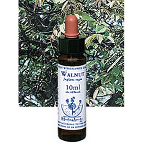 ヒーリングハーブス/フラワーエッセンス[ウォールナット]