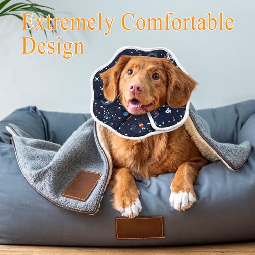 Xiuyer Halskrause Hund, Halskrause Katze, Hunde Halskrause, für Kleine Hunde und Erwachsene Katzen, Leckschutz nach Op Hund, Beeinträchtigt Nicht das Trinken und Essen(Blau L)