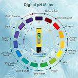 flintronic B0BG6TVBYB lato 4