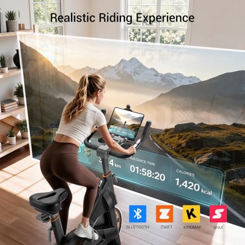 CURSOR Exercise Bike,Magnetic Stationary Bikes for Home,0-100 Resistance - image 5