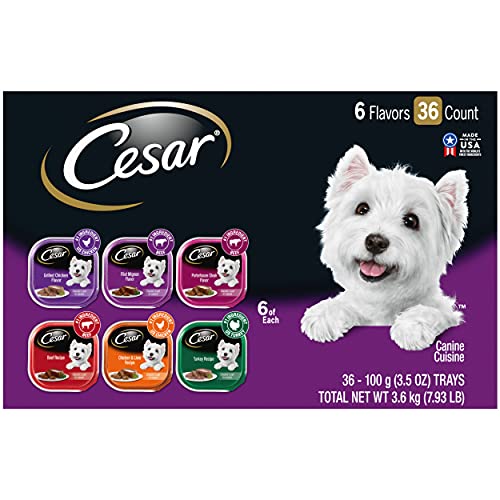 Gourmet Wet Dog Food Variety Packs by Cesar – 36 Trays for a Delicious Meal