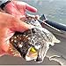 Topwater Co Speed Clips,Top Water Speed Clips,Topwater Speed Clips, Speed Clips Fishing,Topwater Speed Clips for Fishing Lures,Topwater Fishing Lures Stainless Steel Speed Clip,100 Pcs (White, 25mm)