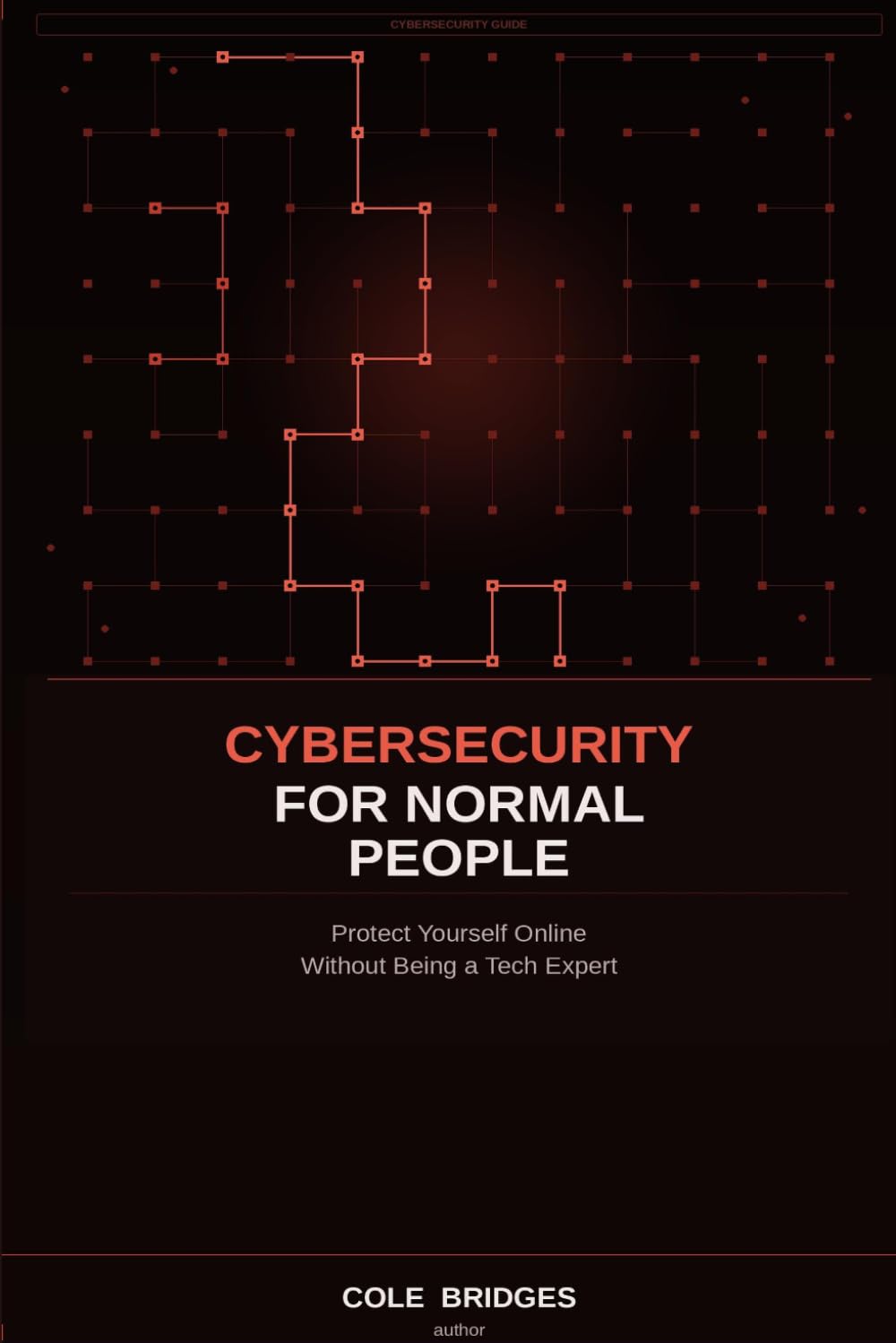 Cybersecurity for Normal People: Protect Yourself Online Without Being a Tech Expert