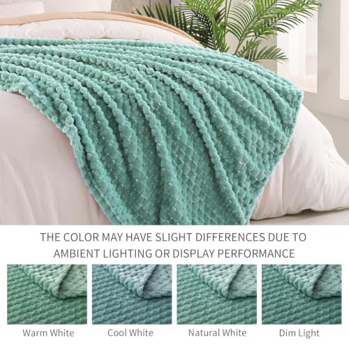 Image of Exclusivo Mezcla 3D Fleece Queen Size Blanket for Bed, Celadon | Extra Soft Fuzzy Plush Lightweight Bed Blankets, Cozy Fluffy Decorative Blankets for All Seasons, 90x90 Inches