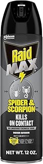 Raid Max Spider and Scorpion Killer, Kills Spiders, Scorpions, Roaches, Ants, Waterbugs, Earwigs, 12 Oz