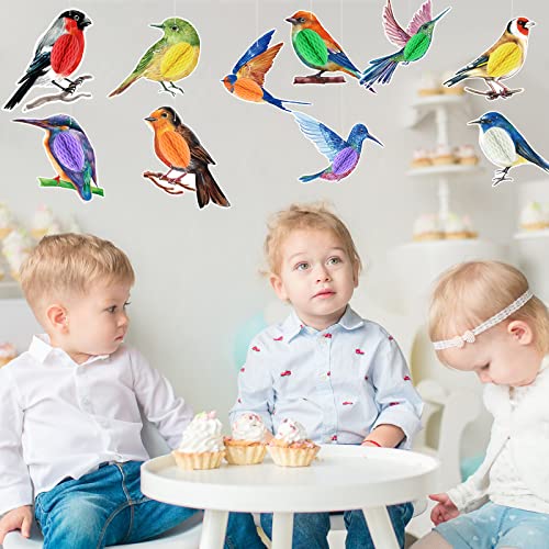 PerKoop 10 Pcs Bird Party Decorations Tropical Bird Honeycomb Paper Cutouts Jungle Rainforest Theme Hanging Parrot Birthday Hawaiian Luau Tiki Party for Home Classroom Supplies by PerKoop - Image 7