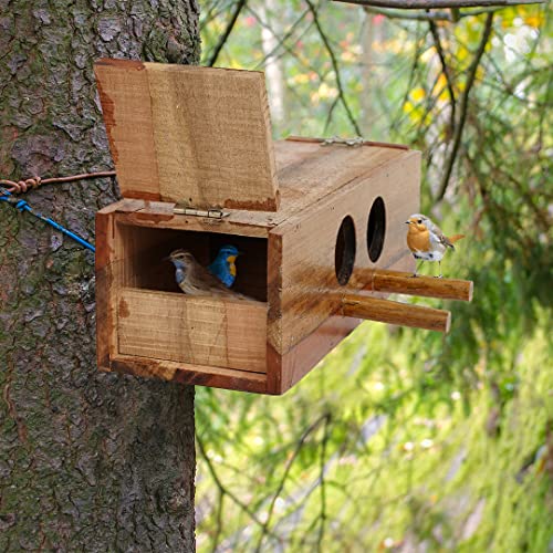 Elysian-Bird-House-Wild-Bird-House-for-Garden-Outside-Decorative-Outdoor-Nesting-Box-Wooden-Birds-Nest-Box-for-Sparrow-and-All-Small-Garden-BirdsGharPet-House-Single-Piece-25X95X8-cm-Double-Hole