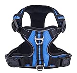 PUPTECK Best Front Range No-Pull Dog Harness with Vertical Handle,Calming Adjustable Reflective Outdoor Adventure Pet Vest,Blue L