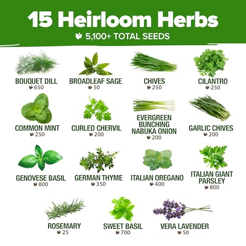 Save 41% on HOME GROWN Herb Seeds Kit with 5,100+ Seeds - Image 3