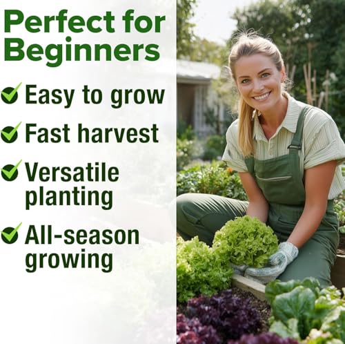 Image of HOME GROWN 11,500+ Heirloom Lettuce Seeds - 10 Varieties Including Romaine, Buttercrunch, Iceberg, Kale & Spinach - Non-GMO USA Seeds for Planting Indoor, Outdoor & Hydroponic Gardens