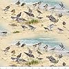 Coastal Dreams Sandpipers Sand, Fabric by the Yard #1