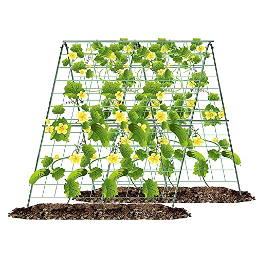Faltbares Gurken Rankgitter, Gurken Rankhilfe, Gitternetz Kletterpflanzen Rankgitter, Rankhilfe Tomaten, Premium Ranknetz, für Kletterpflanzen im Freien, Gurken