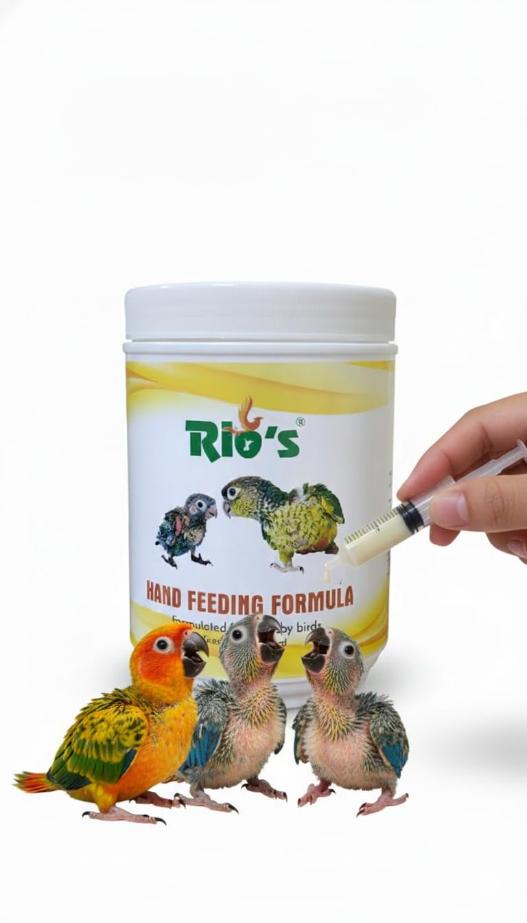 Rio's Hand Feeding Formula for Baby Birds, Nutritional Growth Support for Parrots and Pet Birds 500grams-image-31