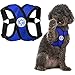 Gooby - Comfort X Step-In Hundegeschirr, Würgefrei, kleines Hundegeschirr mit Mikro-Wildlederbesatz und patentiertem X-Rahmen, Blau, Größe L