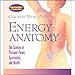 Energy Anatomy