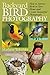 Backyard Bird Photography: How to Attract Birds to Your Home and Create Beautiful Photographs