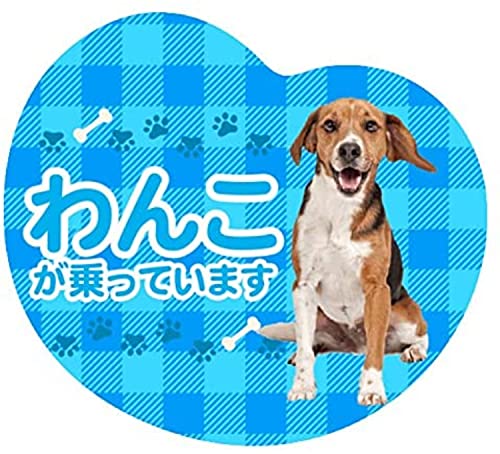 z[NAC ԗp }OlbgTC 񂱂Ă܂ (r[O, u[)