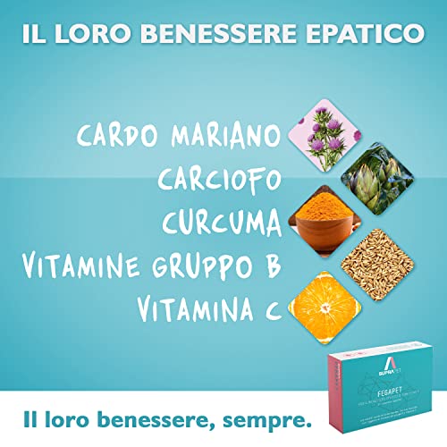 Suprapet Fegapet Cani e Gatti Supporto per il