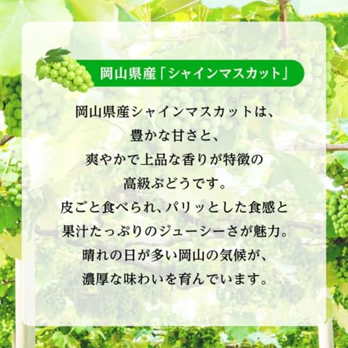 日本酒類販売 久米仙 岡山 ニッポンエール シャイマスカットサワーの素 500ml