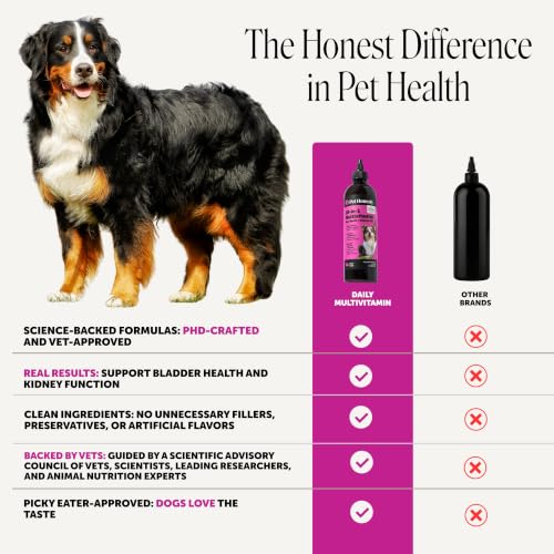 Image of Liquid Multivitamin for Dogs with Salmon Oil - Omega 3 Fish Oil Food Topper Bone Broth Supplement - Daily Dog Vitamins for Allergy Itch Relief, Coat Health, Gut Digestion + Joints (12 oz)