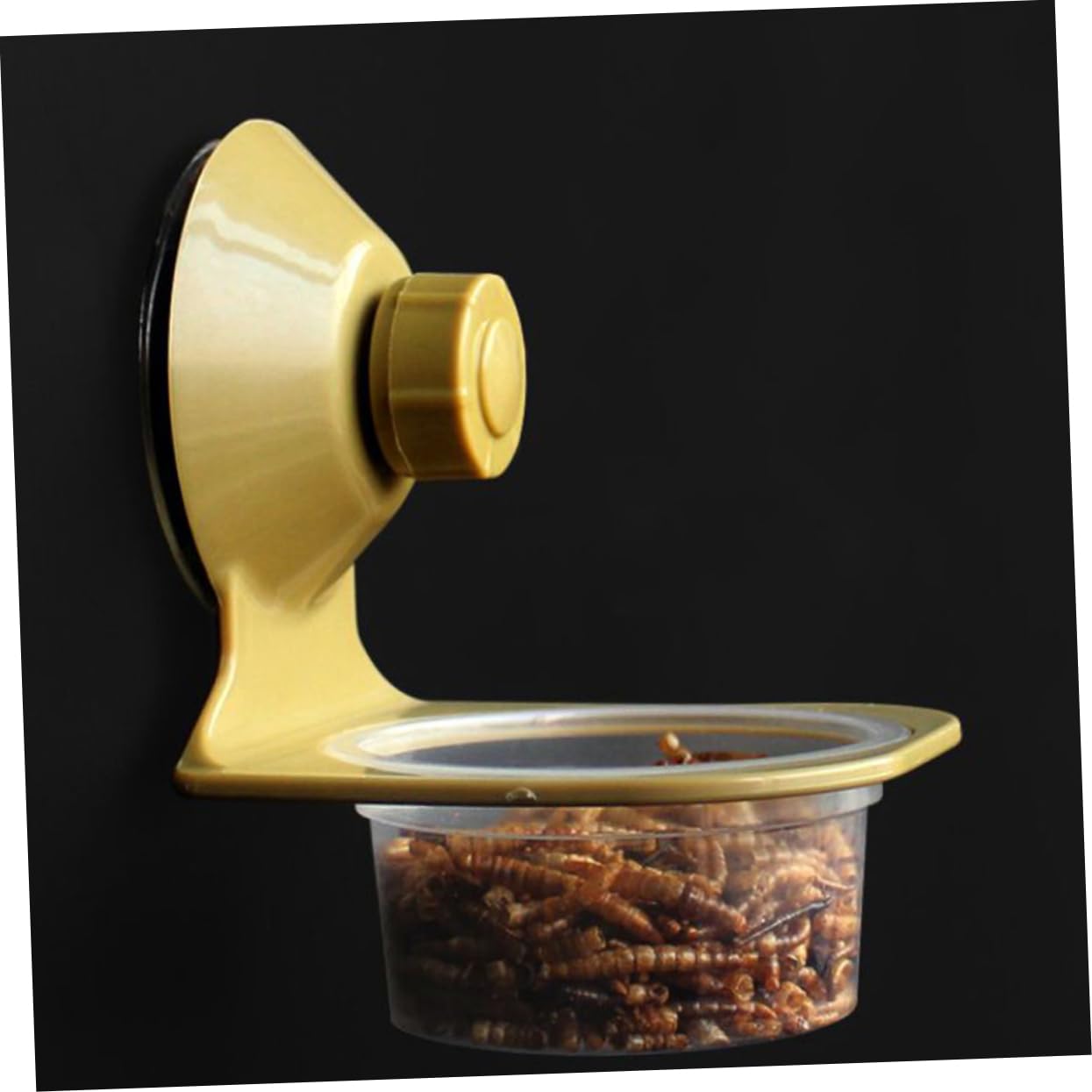 CORHAD 2Pcs Wall Mounted Reptile Water Food Bowls Automatic Feeding Dish for Lizards Turtles Easy Pet Reptile Habitats