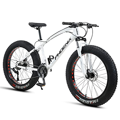 YSACJFD Bicicletas de Montaña,Bicicletas de Montaña de 24 Pulgadas para Niños, Niñas, Hombres Y Mujeres, Bicicletas de Montaña Fat Tire para Adultos, Bicicletas de Acero Al Carbono para Playa Y Nieve,