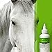 VetOne KetoHex Antiseptic Ear Flush - Sensitive Skin & Ear Infection Drops, Antibacterial & Antifungal Topical Use, 4oz Cleansing & Drying Medication, Cat & Dog Skin Irritation Treatment