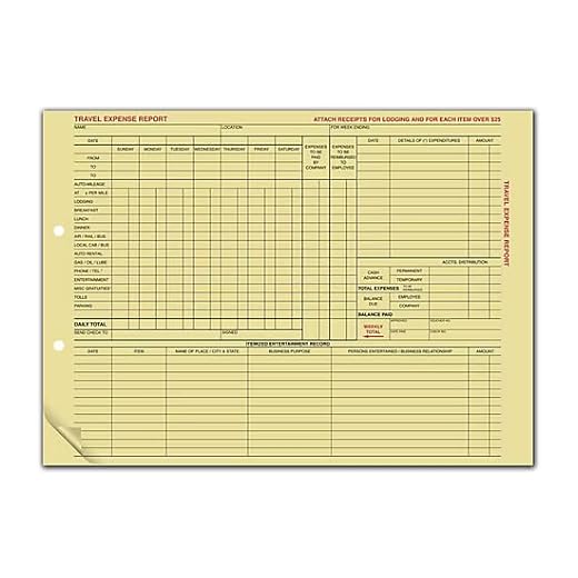 Can i claim luggage as business expense Standard Travel Expense Report Forms