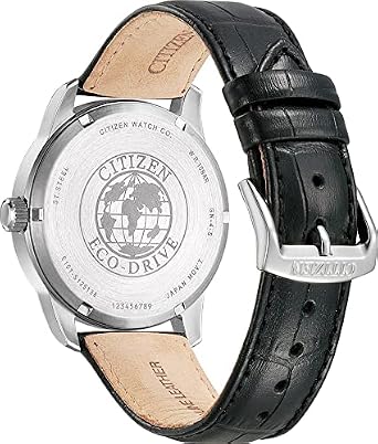 Citizen Men's Analog Eco-Drive Watch, black, Strap