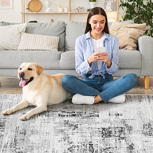 Vamcheer Alfombra Salón Pelo Corto - Alfombra de área Abstractas Modernas Imitación Cachemira,Antideslizantes y Lavable,Alfombras Decorativas para Dormitorio,Comedor,Pasillo,Interiores (Gris 200x300) - imagen 6