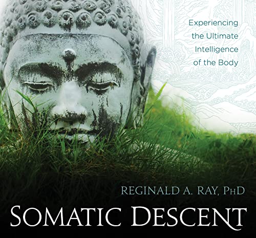 Somatic Descent: Experiencing the Ultimate Intelligence of the Body