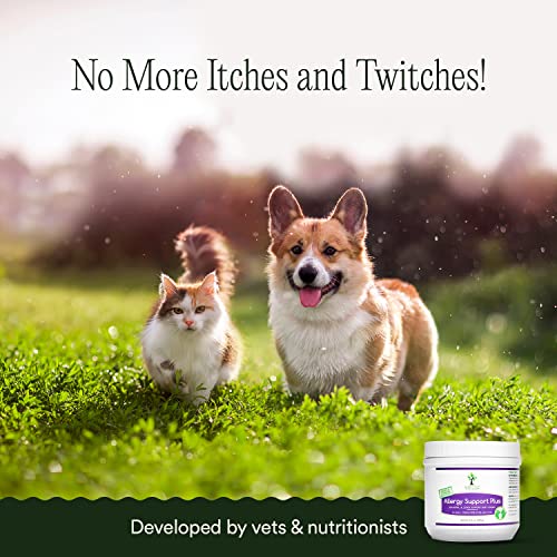 pawTree-Natural-Allergy-Support-Plus-for-Dogs-Ideal-for-Itching-Irritated-Skin-Seasonal-and-Food-Allergies-Hot-Spots-Supplement-Your-pet-Will-Love-Small-Chews-for-Pets-60-Count-Large