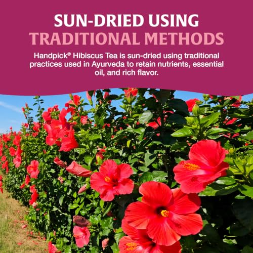 Image of HANDPICK Organic Hibiscus Tea (40 Tea Bags) Pure Indian Hibiscus Flowers