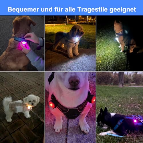 UMIONE PET LIGHT: Wasserdichtes Hundelicht, langlebig und ideal für Nachtspaziergänge (Blau, 1 Stück)