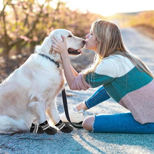 QKURT 4 Stück Hundeschuhe, Hundestiefel Pfotenschutz, wasserdichte Hundeschuhe mit Reflektierenden Riemen, Verstellbare, Waschbare, Pfotenschützer für Kleine, Mittlere und Große Hundee