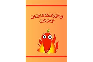 FEELING HOT notebook