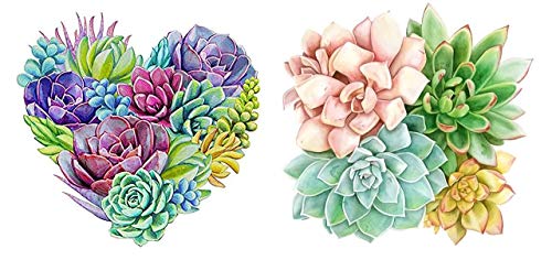KOTWDQ 2 Pack Diamond Painting Kits for Adults Kids Succulent Plants Full Drill for Home Wall Decor