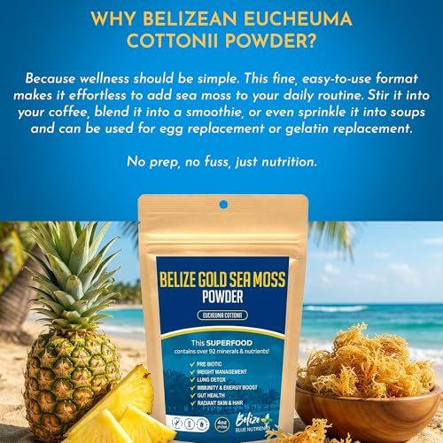 Belize Blue Nutrients – Gold Sea Moss Powder – 100% Pure Sustainably Harvested Eucheuma Cottonii from Belize – Mineral-Rich Superfood for Energy, Gut & Immune Support - 4 Oz - Image 6