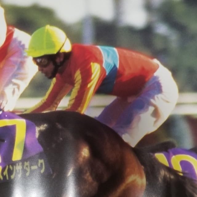 Amazon.co.jp: ダンスインザダーク 競馬ポスター 菊花賞 優勝馬武豊